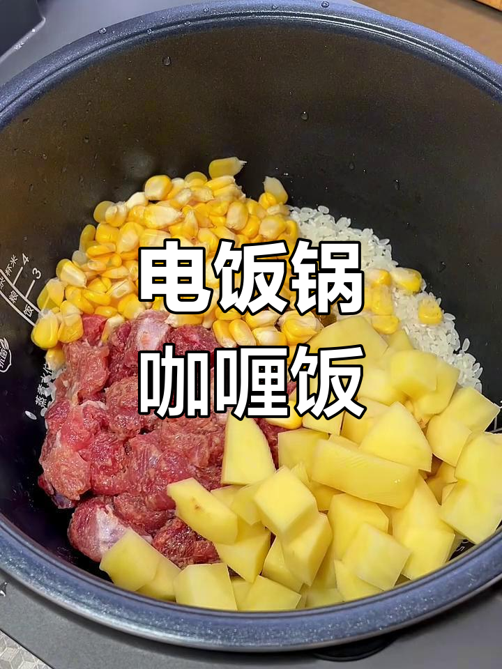 咖喱饭轻松做,电饭煲一按搞定!