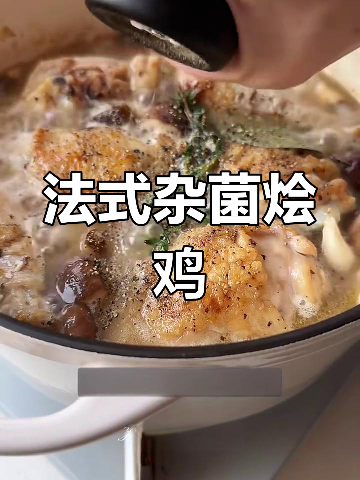 冬季法式杂菌烩鸡,家常炖菜超浓郁!