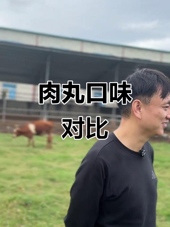 水牛与黄牛肉丸口感大比拼,评论区最热点评送牛肉丸!