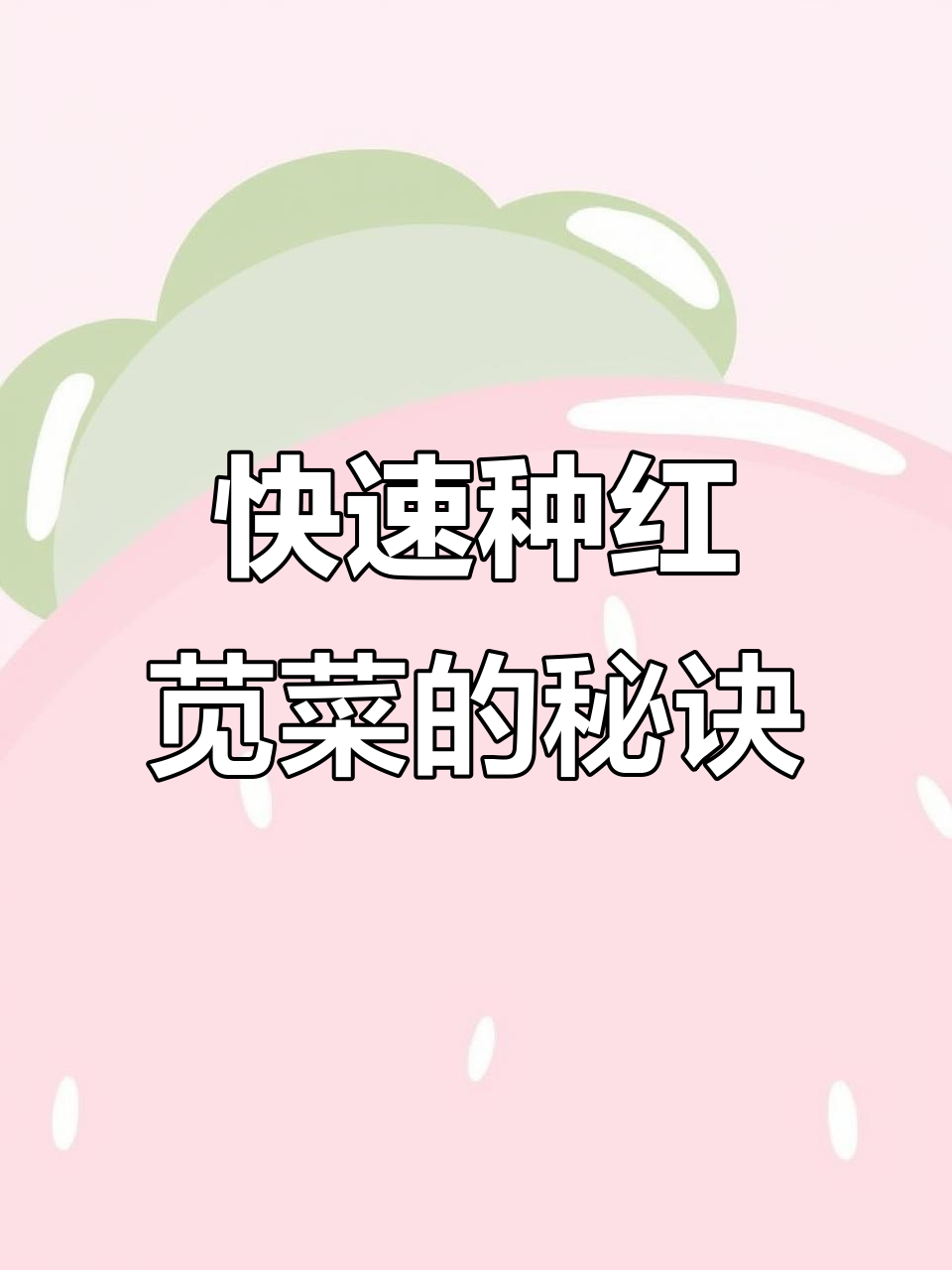 红苋菜种子快速出芽技巧,教你如何提高成活率