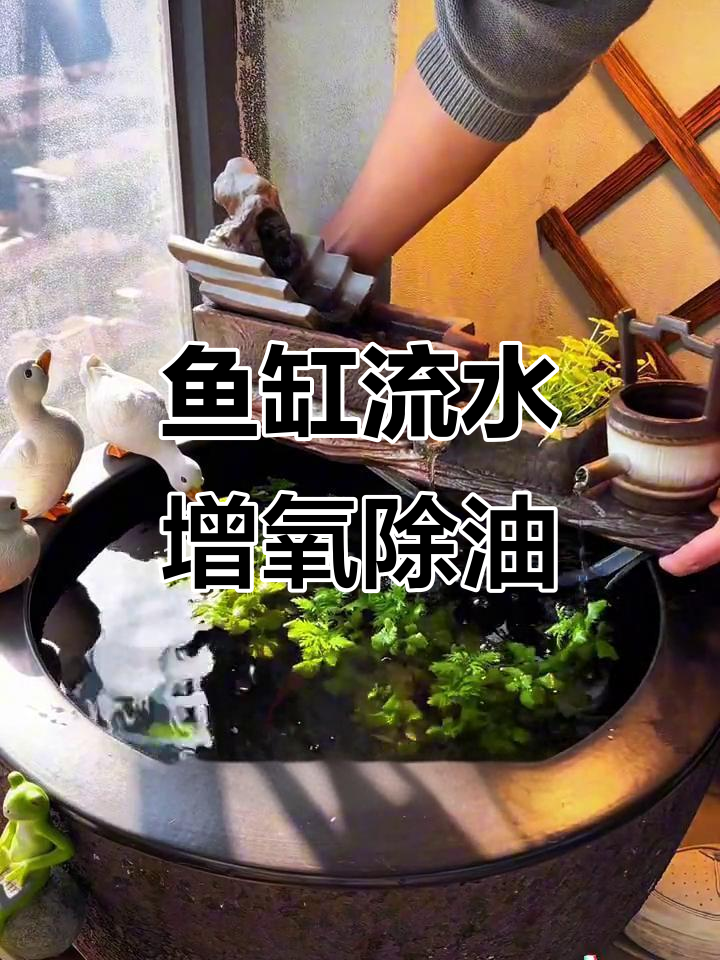 鱼缸流水系统，美观又实用！陶瓷假山设计让水景更自然