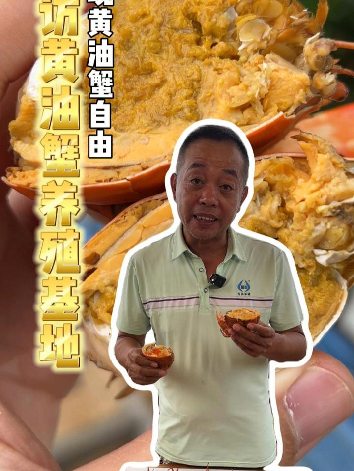 一只要卖到2000的黄油蟹！勇叔来养殖场带你看看！