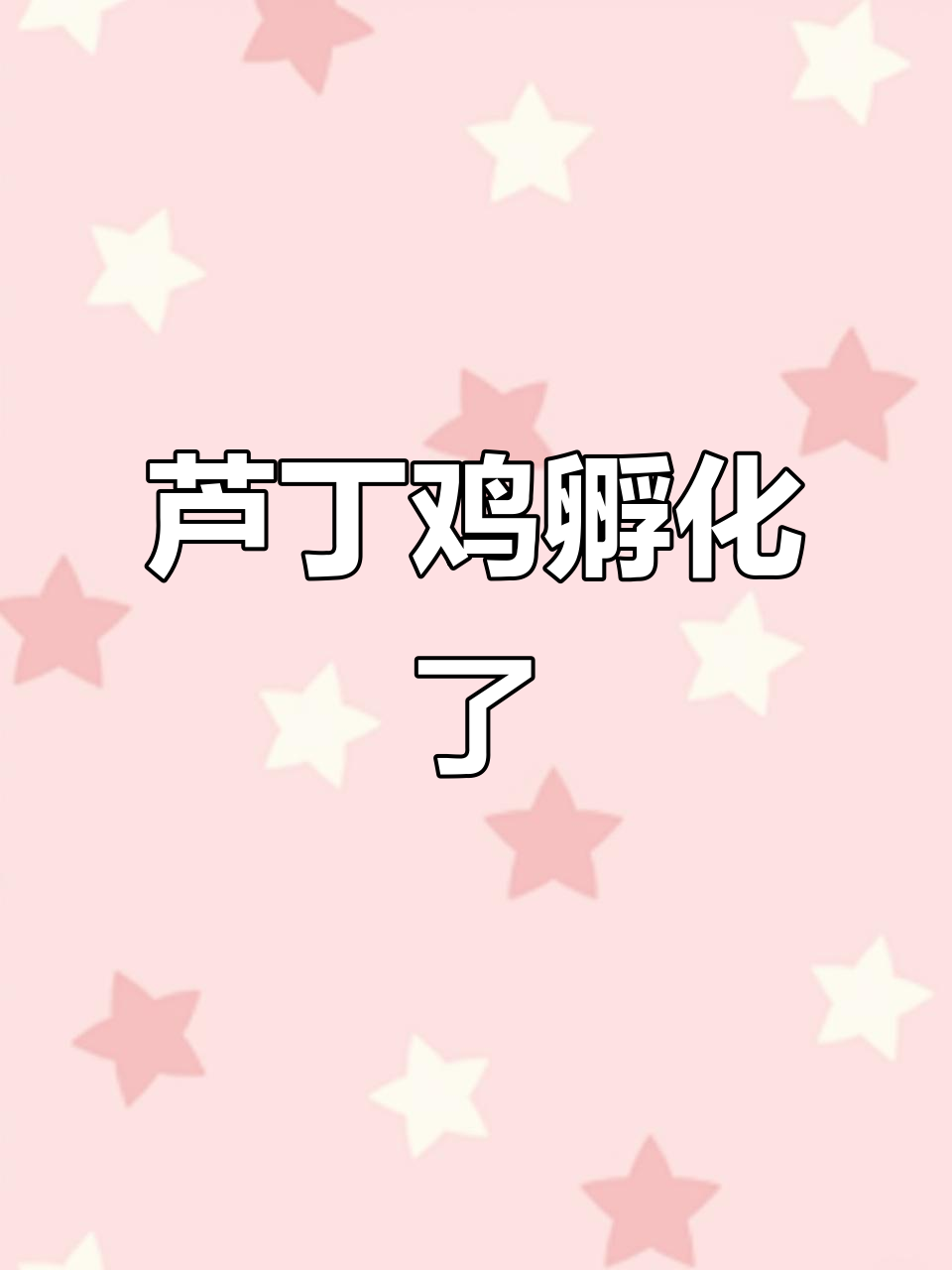 芦丁鸡孵化14天,生命奇迹的成长过程