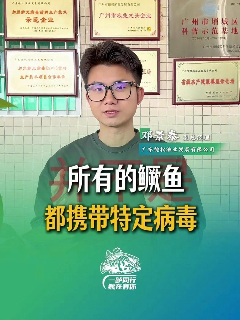 并不是所有的鳜鱼都携带特定病毒！12月6日武汉·江夏 2025第七届中国鳜鲈产业论坛 分享