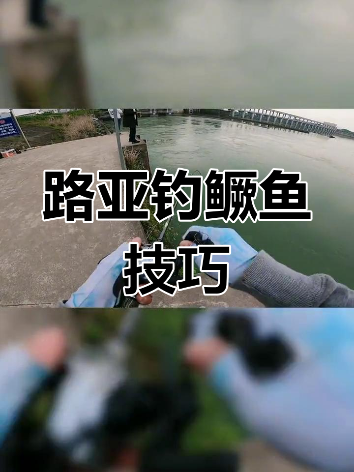 急流路亚鳜鱼技巧大揭秘,轻松掌握搜边手法