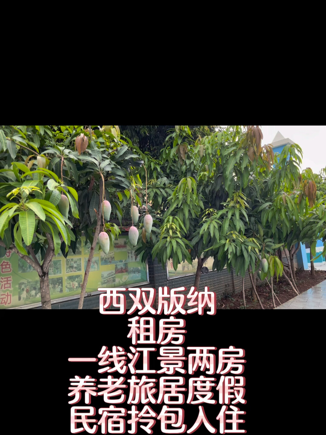 西双版纳民宿,月租房包吃住