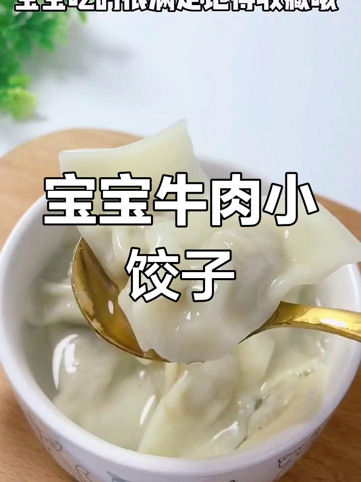 小月龄宝宝牛肉小饺子,做法超简单又营养