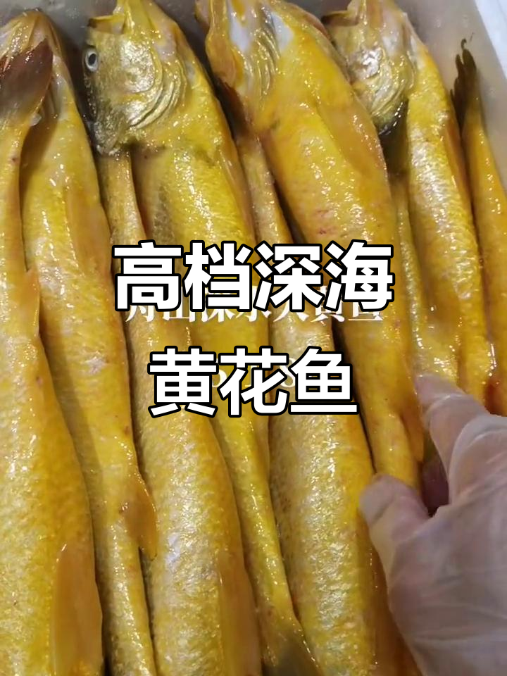 舟山深水大黄鱼,高端礼盒装,四季发财寓意好