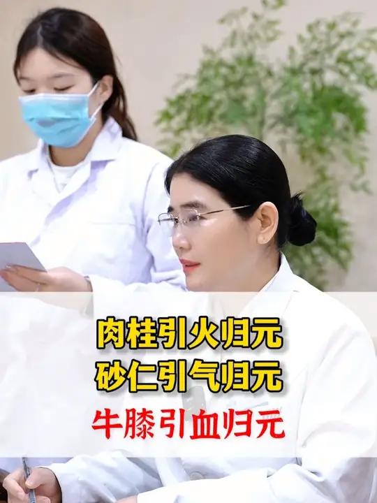 肉桂引火归元,砂仁引气归元,牛膝引血归元。