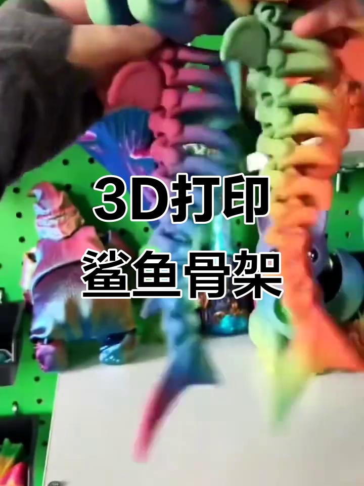 3D打印鲨鱼骨架，轻松打造海洋生物模型