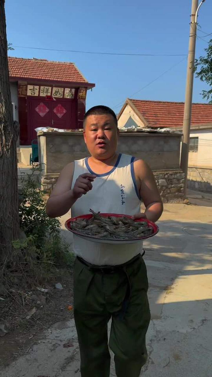 农村烟火气十足的韭菜鸡蛋虾仁水饺