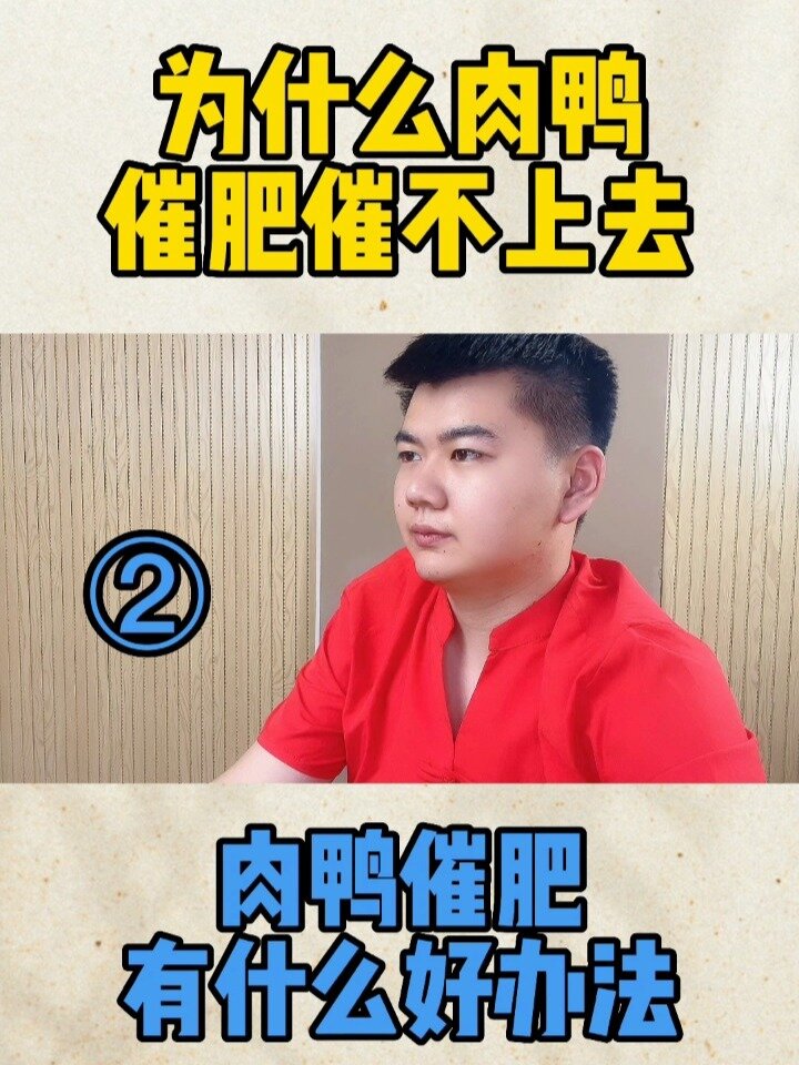 鸭子不吃东西喂什么大鸭不吃东西怎么处理大