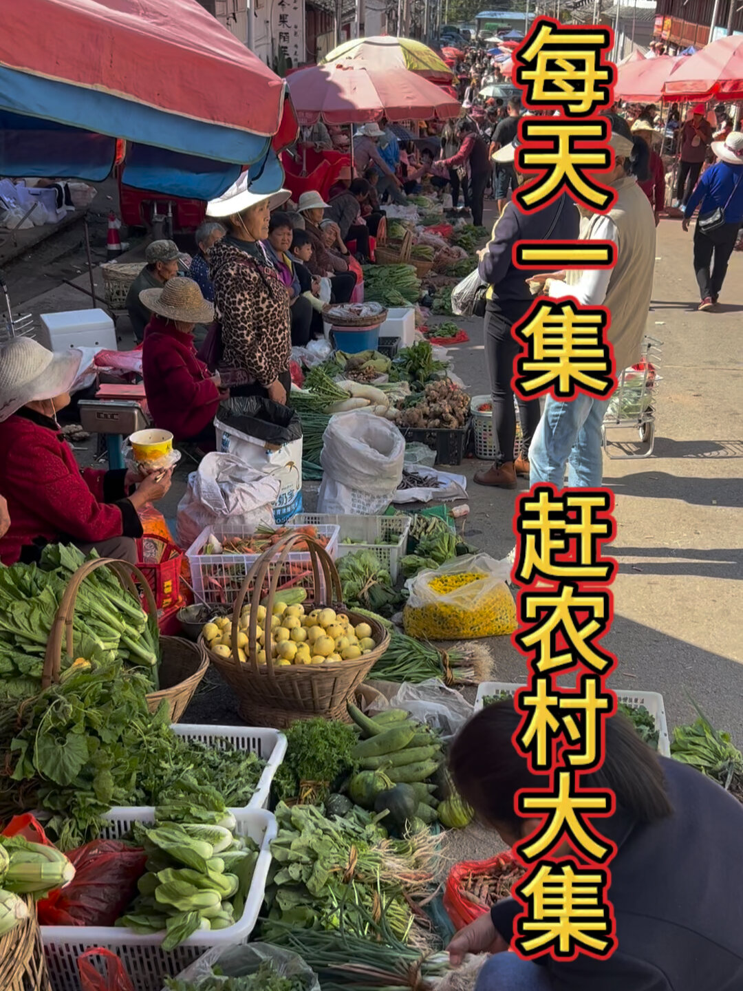 农村集市上的土鸡蛋5毛钱一个,您买过么?