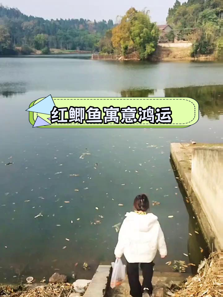 钓到红鲫鱼,放生祈福迎好运