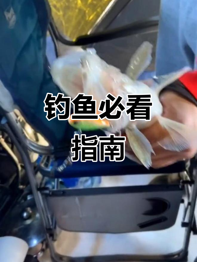 在加拿大钓鱼,这些常识不可不知!否则麻烦不断