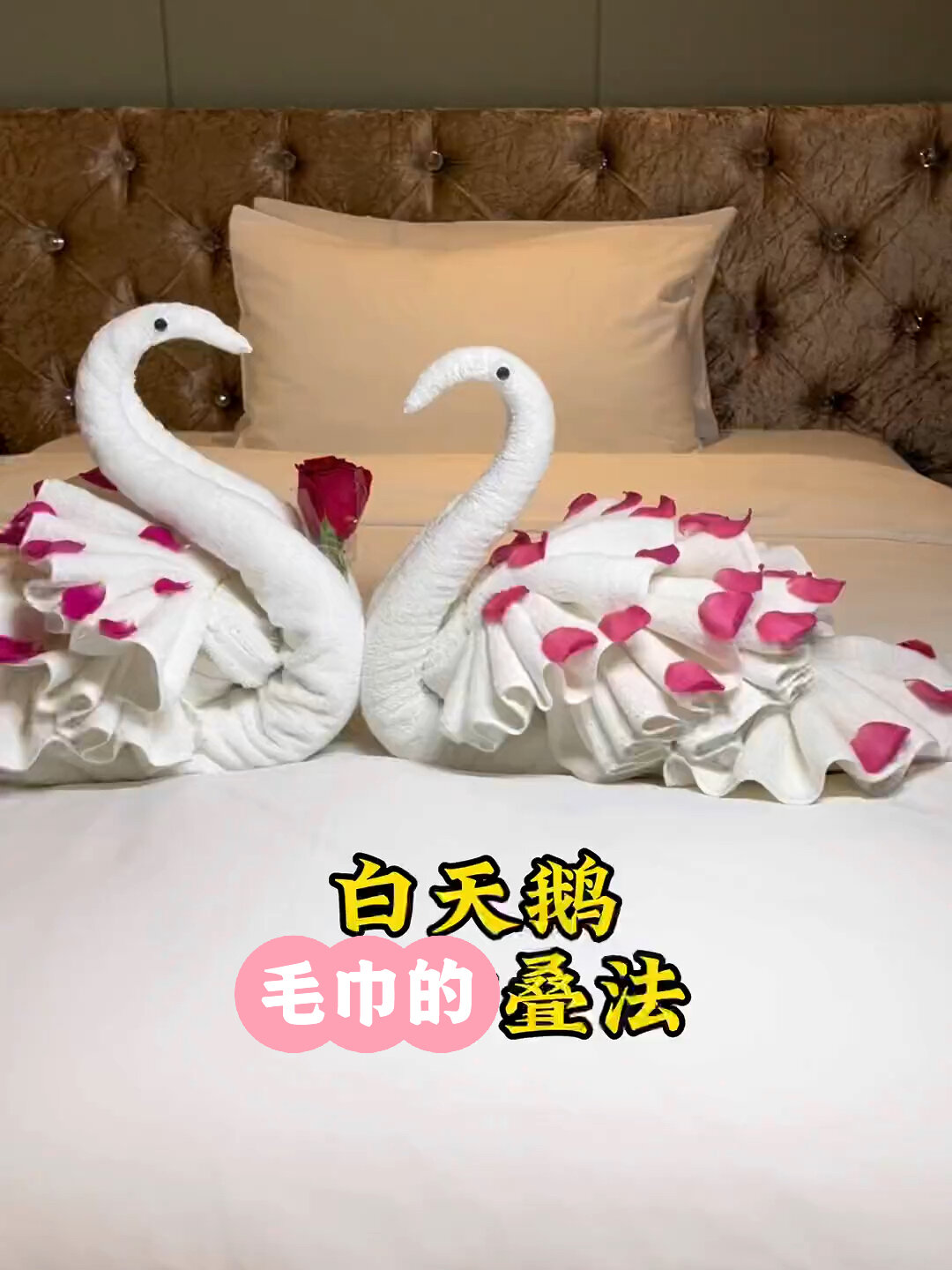 太有意思了,用毛巾可以叠出天鹅来