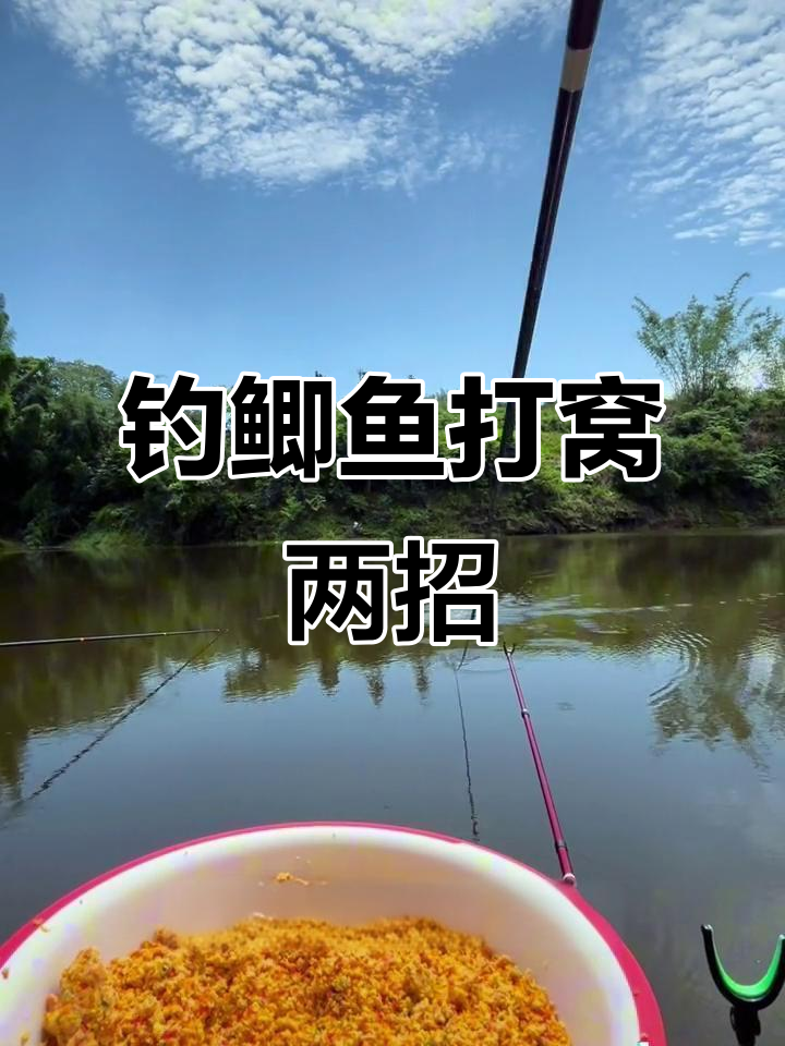 钓鲫鱼打窝技巧大揭秘,两种方法让你轻松掌控
