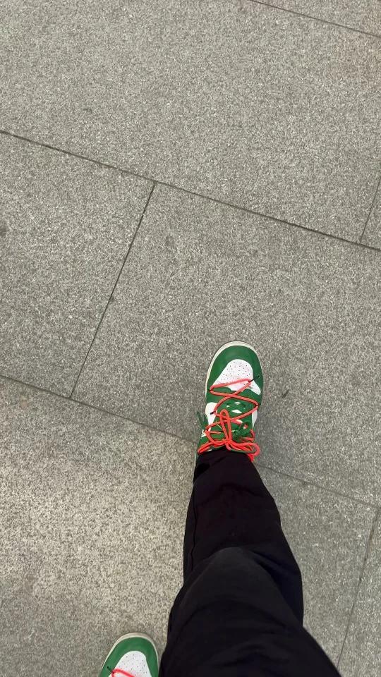 拍照教程|郁金香如何拍出印象派的油画感?