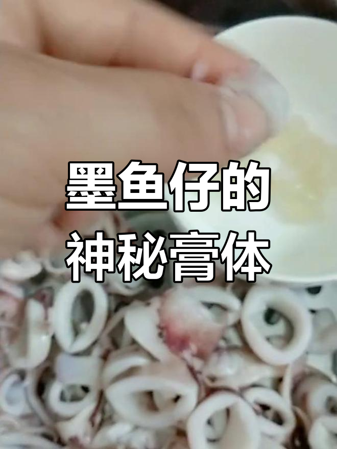 墨鱼仔里的膏状物到底是什么?揭秘真相