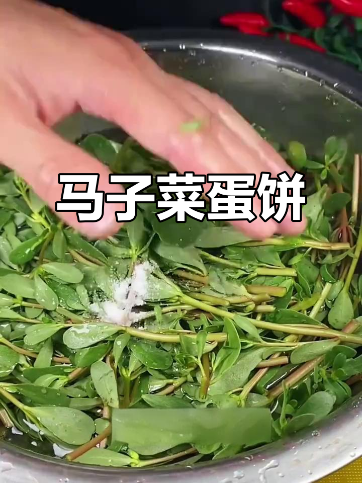 马齿苋炒鸡蛋,营养又美味!你们那里叫它什么?