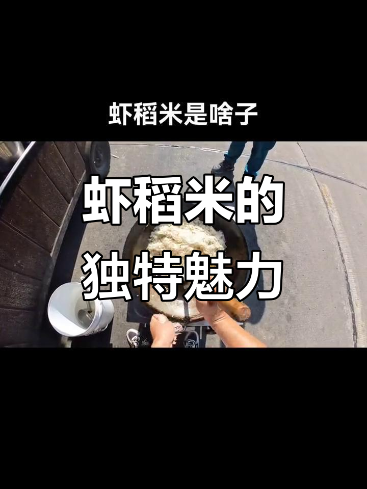 虾稻米,潜江特色,小龙虾与水稻共生的美味产物