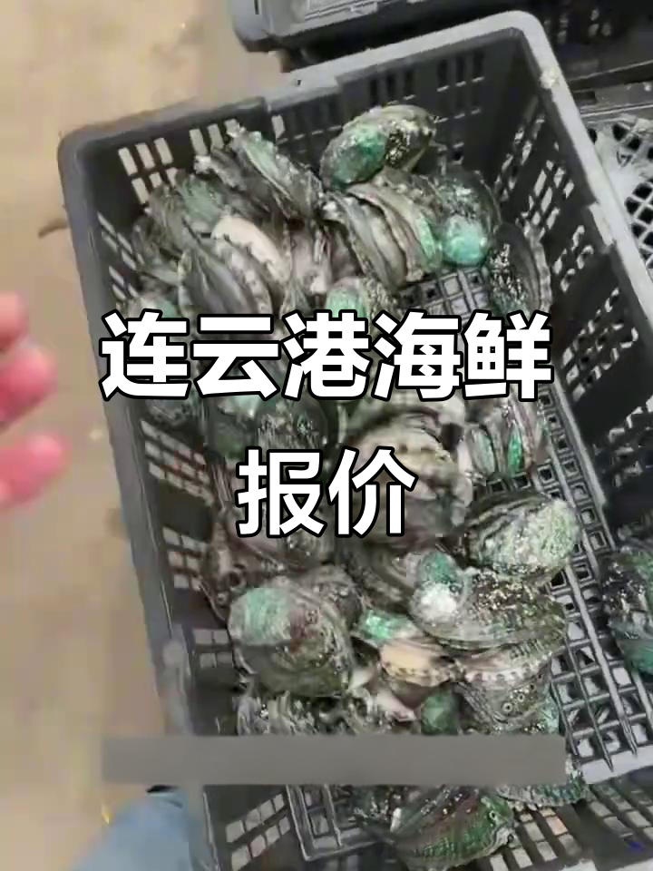 连云港海鲜市场大揭秘:新鲜八爪鱼、鲍鱼和生蚝价格一览