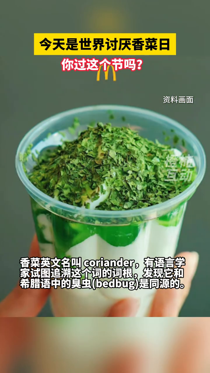 今天是世界讨厌香菜日,全球约有15%的人讨厌香菜