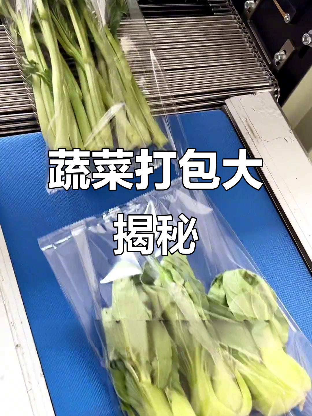超市蔬菜包装揭秘,枕式机让新鲜更持久!