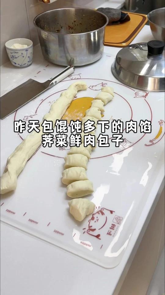 包的馄饨荠菜鲜肉馅的,多了一点肉馅下来,晚上我就在冰箱里扔了块发酵面团,冷藏发酵,第二天包