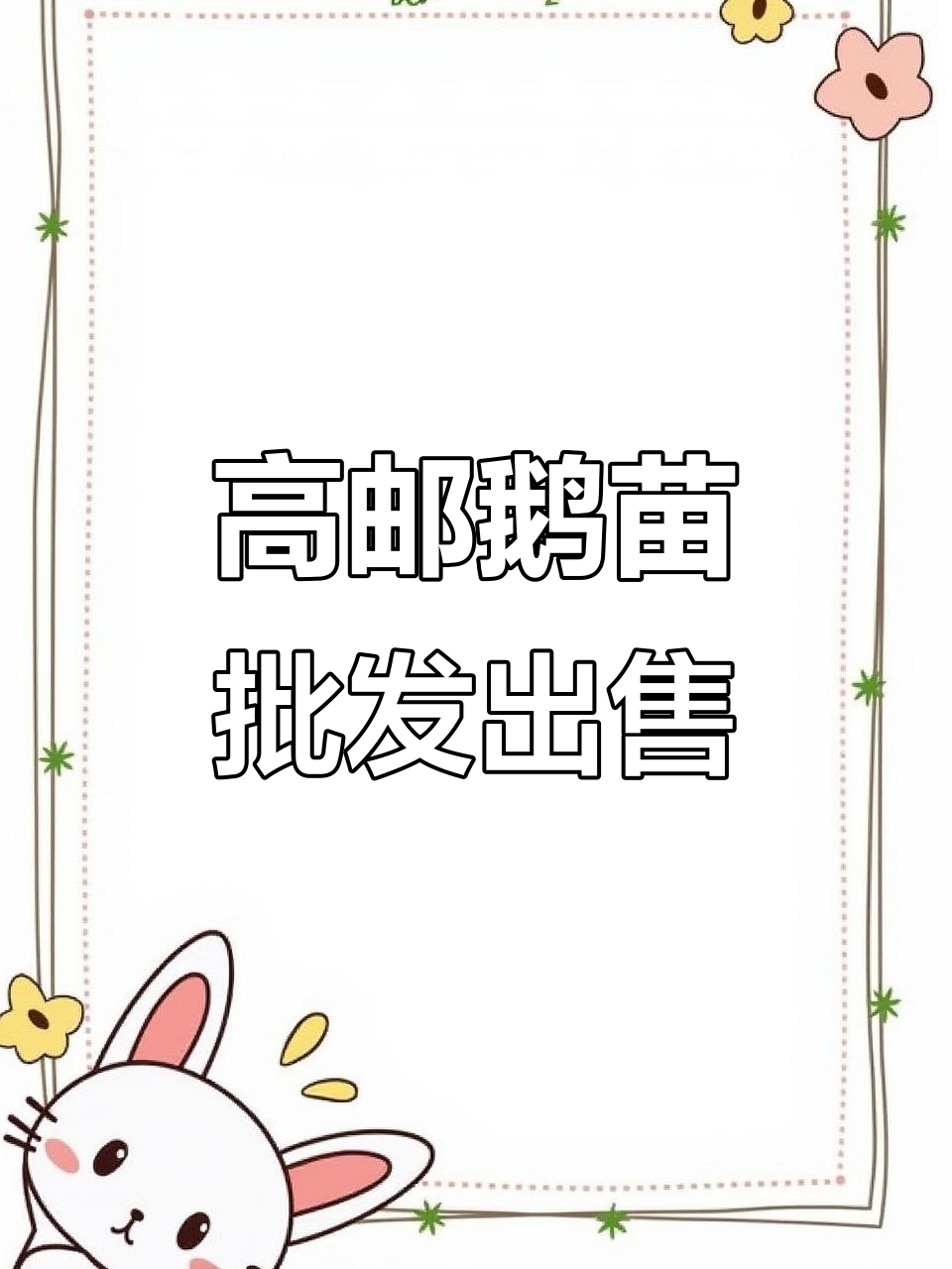 江苏高邮鹅苗批发市场,免费送货上门!