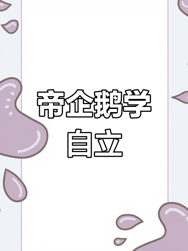 误入渔网被救助的帝企鹅,学会自己买鱼!