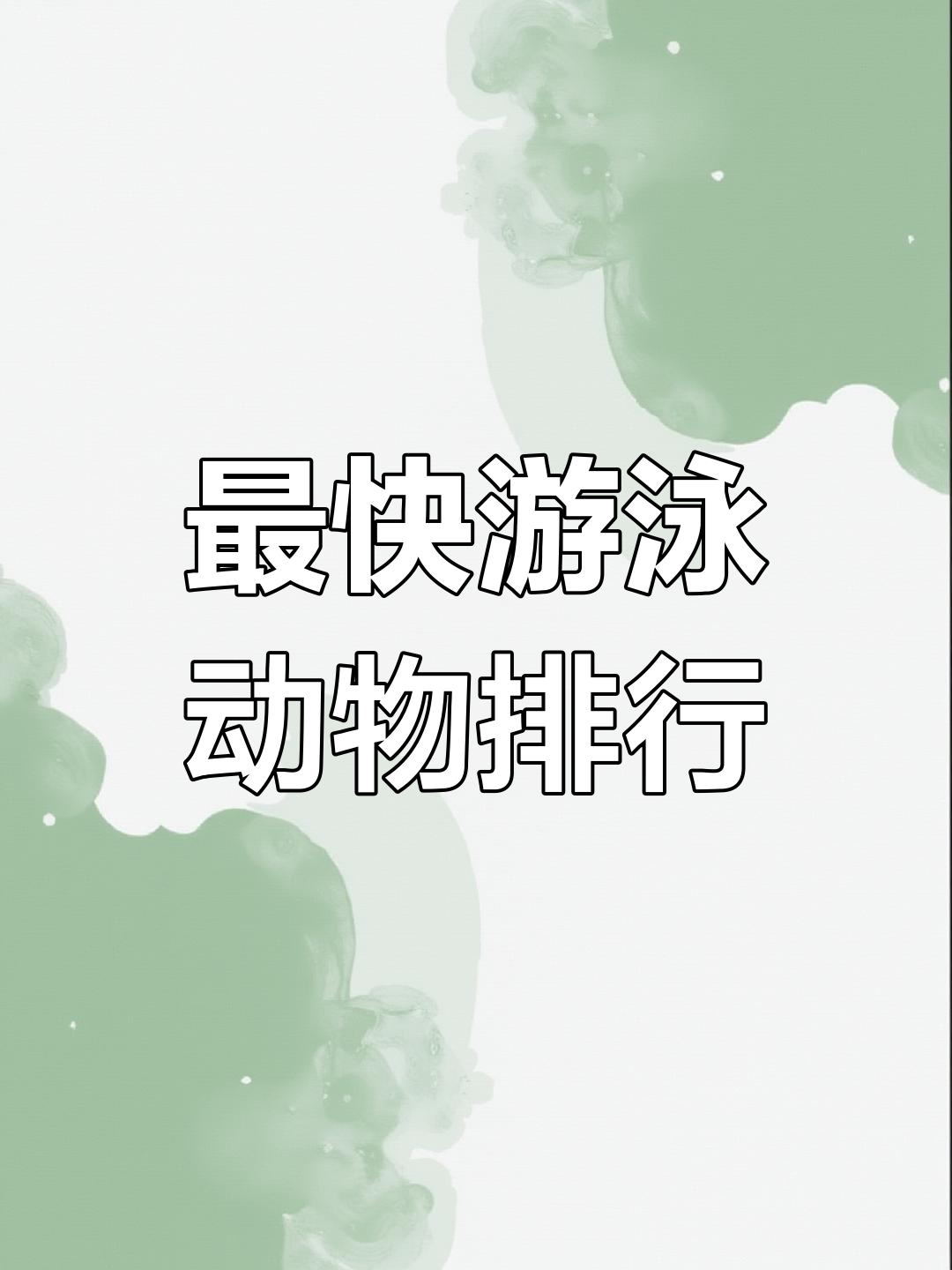 海洋中最快的游泳者:剑鱼与马林鱼的惊人速度