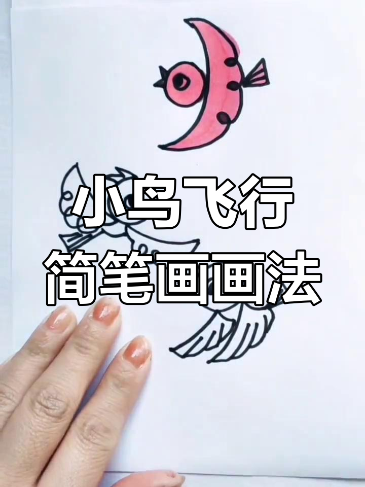 飞翔小鸟简笔画,轻松学会画可爱小动物