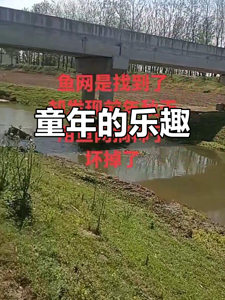 童年趣事:捉鱼、割脚,那些无忧的时光