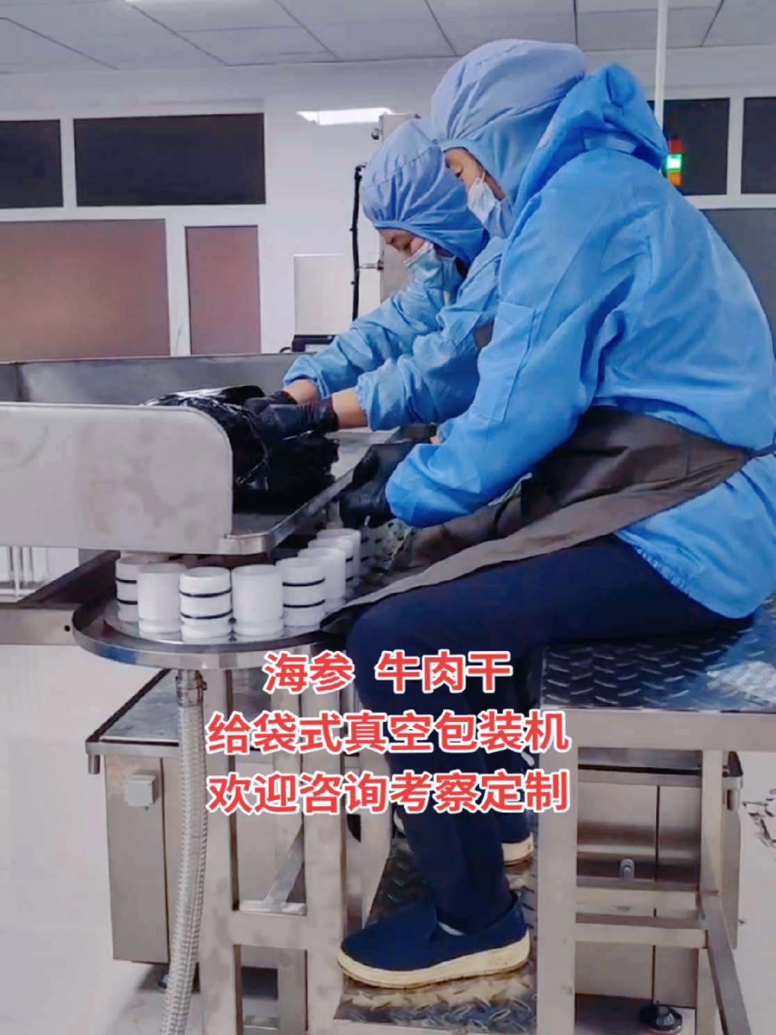 海参牛肉干给袋式真空包装机 海参给袋式真空包装机 牛肉干给袋式真空包装机 给袋式真空包装机