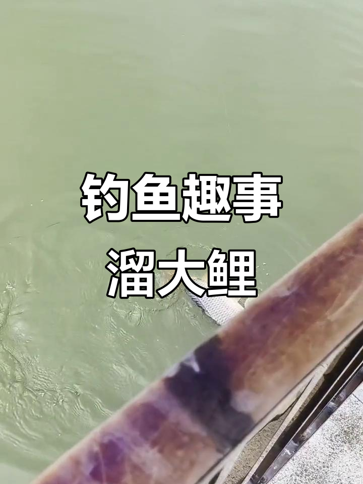 九叠河筏钓鲤鱼,抄网没带怎么办?