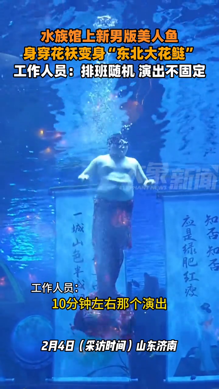 水族馆上新男版美人鱼,身穿花袄变身“东北大花鲢”摇曳生姿