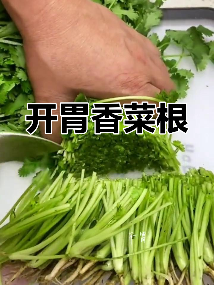 香菜根的秘密做法,开胃又健脾