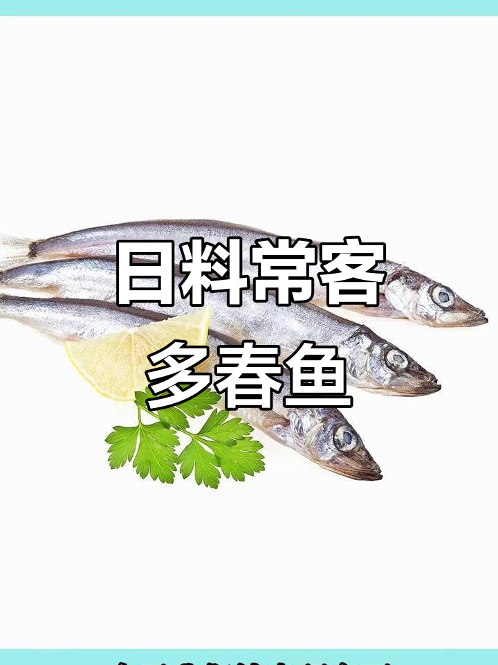 多春鱼为何成为日料必备?满满籽让人欲罢不能!