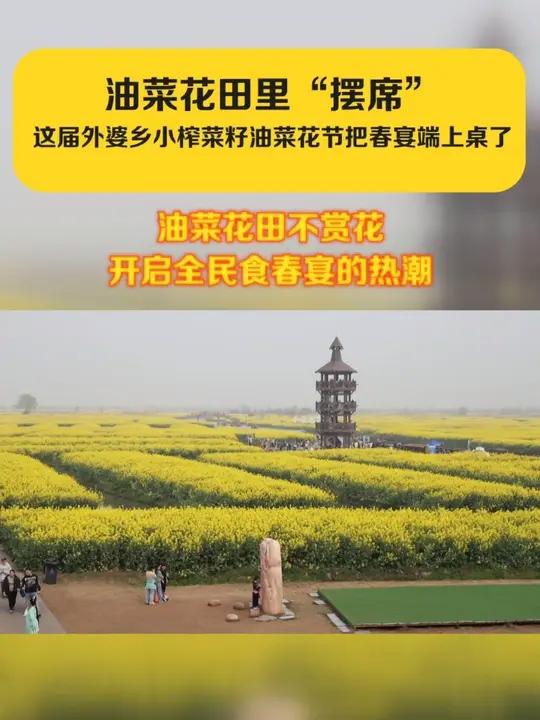 油菜花田大摆宴席，金龙鱼外婆乡小榨菜籽油开启全民花田食春宴热潮！#第十二届金龙鱼外婆乡小榨