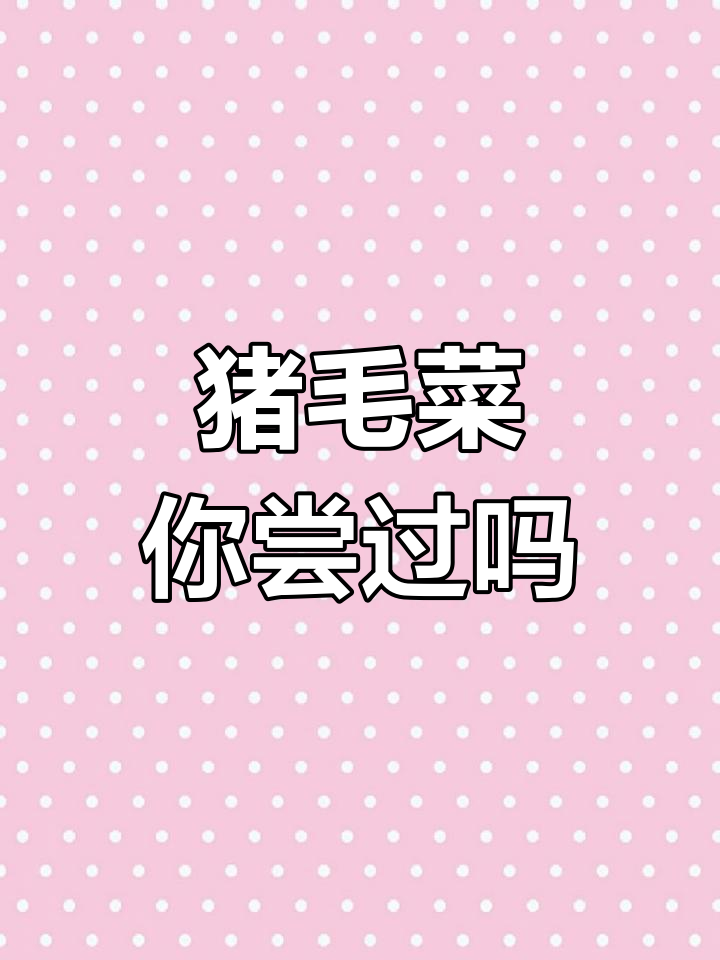 你吃过猪毛菜吗?这种野菜的奇特名字和美味秘密