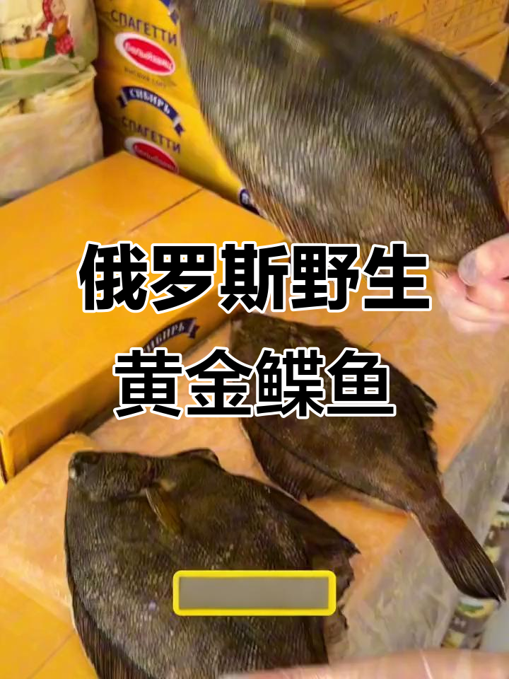 俄罗斯野生黄金鲽鱼,鲜美无刺,蛋白质丰富