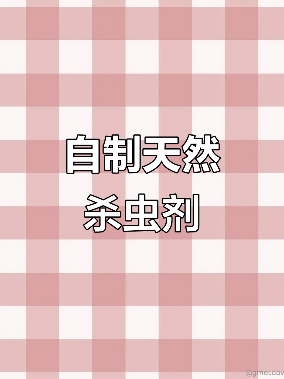 家里食材轻松做杀虫剂,阳台菜园告别害虫困扰!