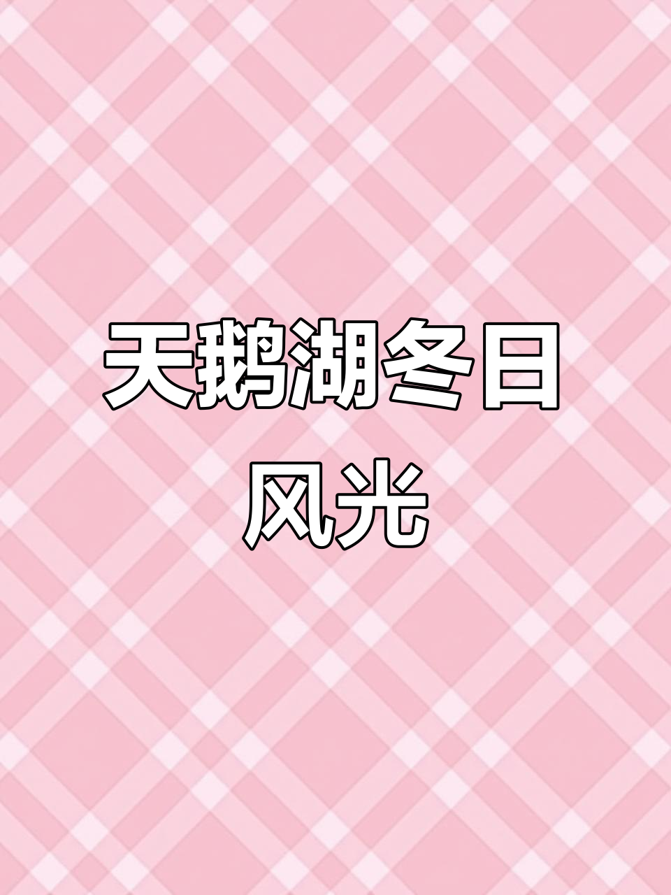 冬季天鹅湖美景,退潮海滩上的美丽邂逅