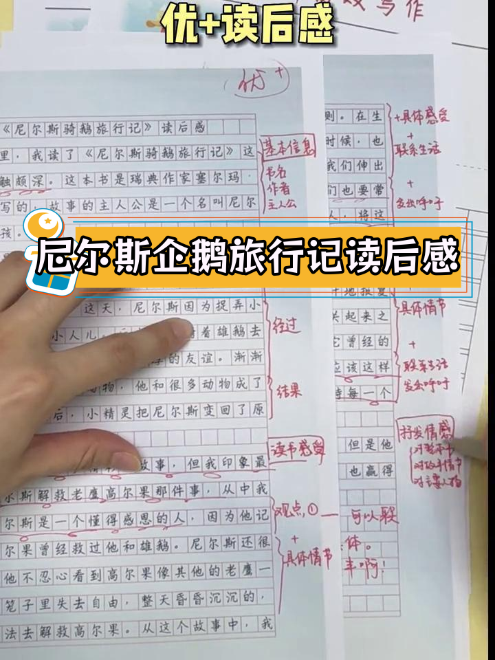 《尼尔斯骑鹅旅行记》读后感范文解析