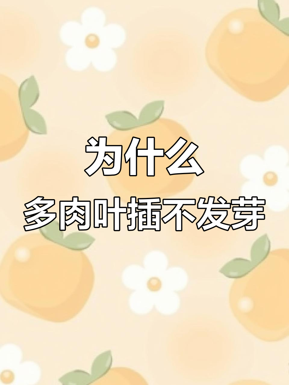 多肉叶插只生根不发芽?这些原因你得知道