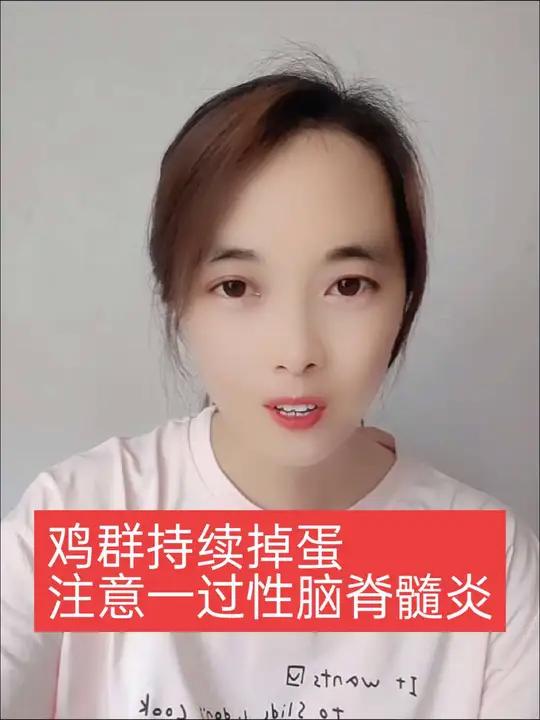 鸡群持续性掉蛋,幅度还比较大,但一切正常,体重也不轻,注意下一过性脑脊髓炎,明显的症状除了