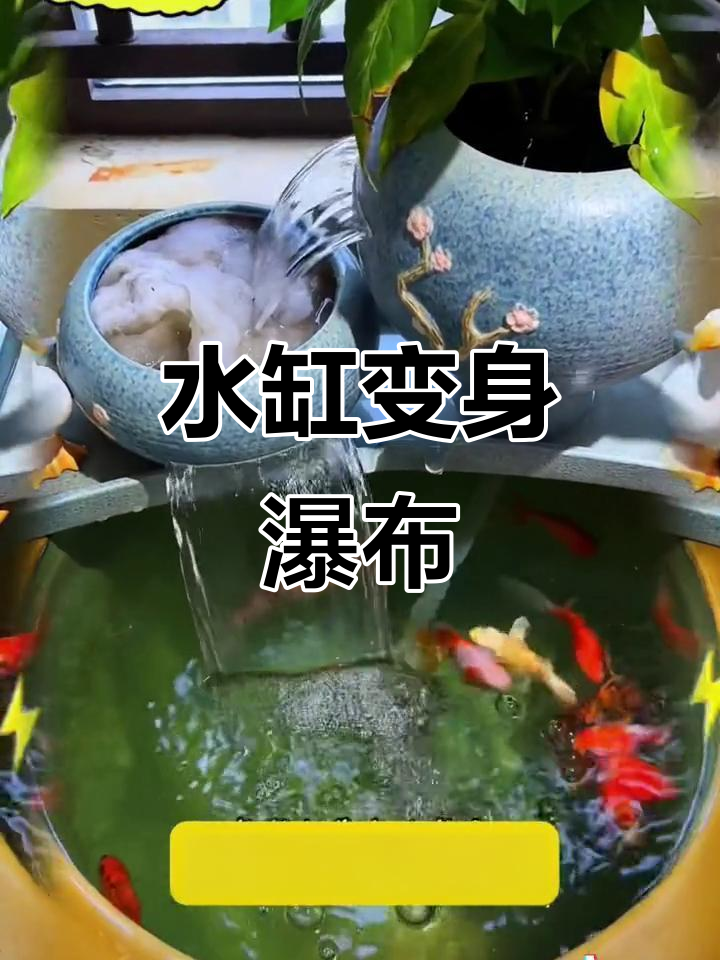 闲置水缸变瀑布,简单安装造景美,过滤效果超赞!