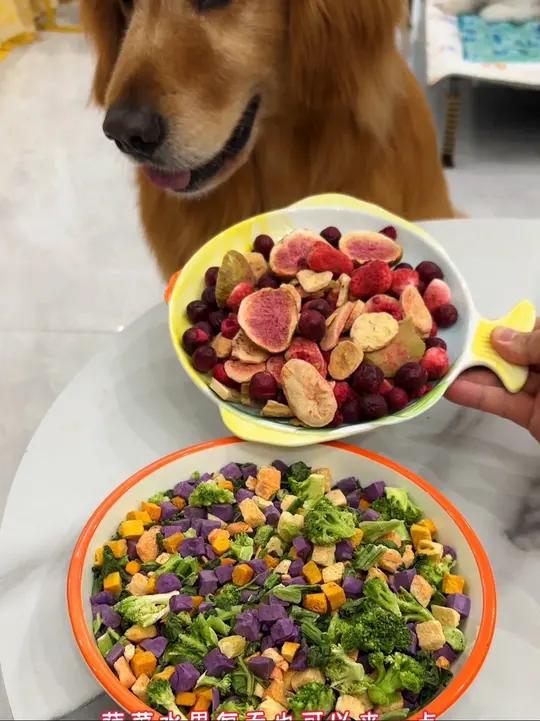 狗狗是杂食动物,不光吃肉哦,也要多吃蔬菜水果哦!