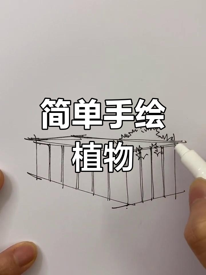 手绘植物盆景,轻松掌握技巧